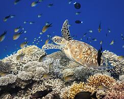 Park Hyatt Maldives Hadahaa