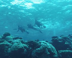 Park Hyatt Maldives Hadahaa