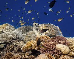 Park Hyatt Maldives Hadahaa