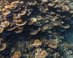 Park Hyatt Maldives Hadahaa