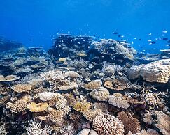 Park Hyatt Maldives Hadahaa