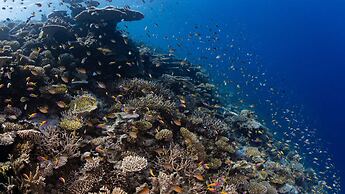 Park Hyatt Maldives Hadahaa