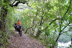Zirahuen Forest And Resort
