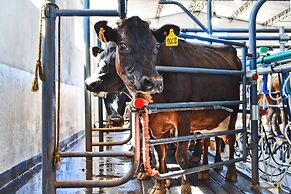 Estancia las Carreras