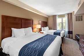 Comfort Inn & Suites Virginia Beach - Norfolk Airport