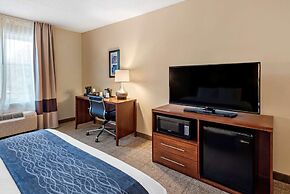 Comfort Inn & Suites Virginia Beach - Norfolk Airport