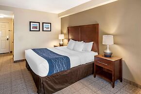 Comfort Inn & Suites Virginia Beach - Norfolk Airport