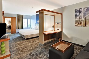 SpringHill Suites By Marriott Columbia Fort Meade Area