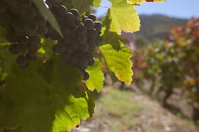 Hotel Rural Quinta do Silval