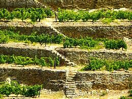 Hotel Rural Quinta do Silval