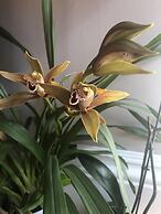 Sheridan Guest House