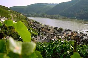 Rheinhotel Lamm