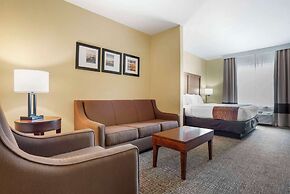 Comfort Inn & Suites Daphne Spanish Fort - Mobile East