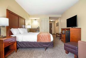 Comfort Inn & Suites Daphne Spanish Fort - Mobile East