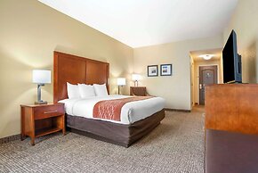 Comfort Inn & Suites Daphne Spanish Fort - Mobile East