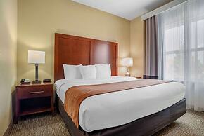 Comfort Inn & Suites Daphne Spanish Fort - Mobile East