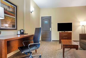 Comfort Inn & Suites Daphne Spanish Fort - Mobile East