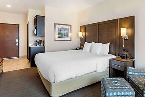 Comfort Inn & Suites Brighton Denver NE Medical Center