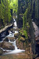 Woodwards White Mountain Resort, BW Signature Collection