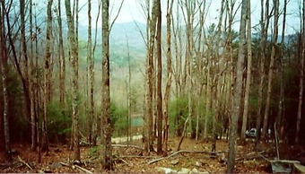 Nantahala Cabins