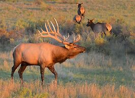Staybridge Suites Great Falls by IHG
