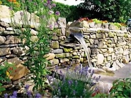 The Willowsmere - Adults Only