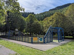 VVF Sud Aveyron, Brusque