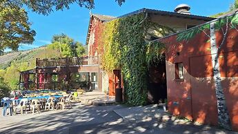 VVF Sud Aveyron, Brusque