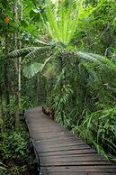 Daintree Wilderness Lodge