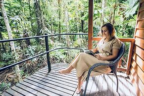 Daintree Wilderness Lodge