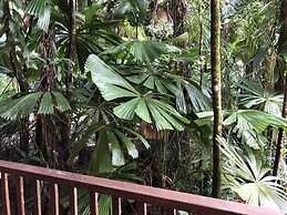 Daintree Wilderness Lodge