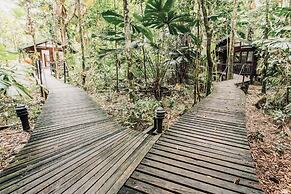Daintree Wilderness Lodge