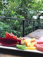 Daintree Wilderness Lodge