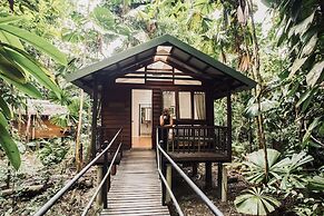 Daintree Wilderness Lodge