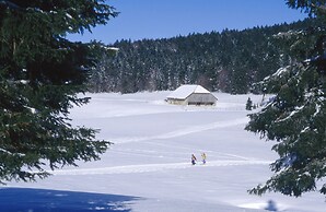 VVF Les Monts Jura, Lelex