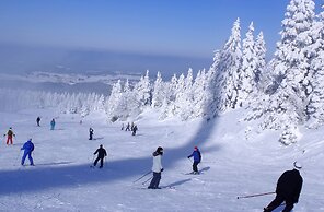 VVF Les Monts Jura, Lelex