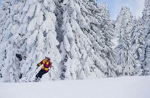 VVF Les Monts Jura, Lelex