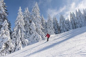 VVF Les Monts Jura, Lelex