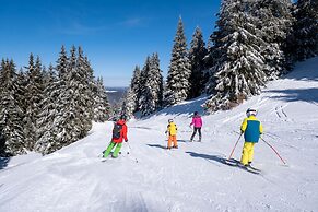 VVF Les Monts Jura, Lelex