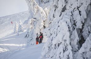VVF Les Monts Jura, Lelex