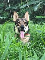 Naveria Heights Lodge