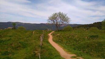 VVF Alsace Orbey Colmar