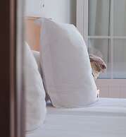 Hotel Jeni & Restaurant