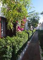 La Concha del Mar Apartments