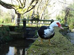 El Jardín de Carrejo