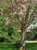 El Jardín de Carrejo