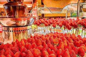 SBH Costa Calma Beach Resort