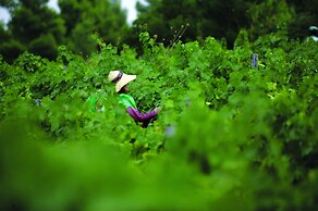 Porto Carras Meliton