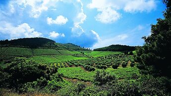 Porto Carras Meliton