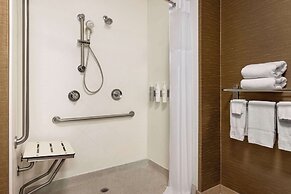 Hampton Inn and Suites Pine Bluff